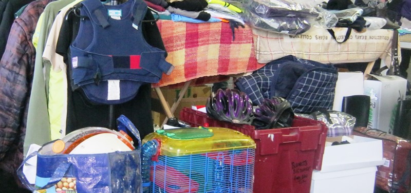 louisesdisplayfeb2014