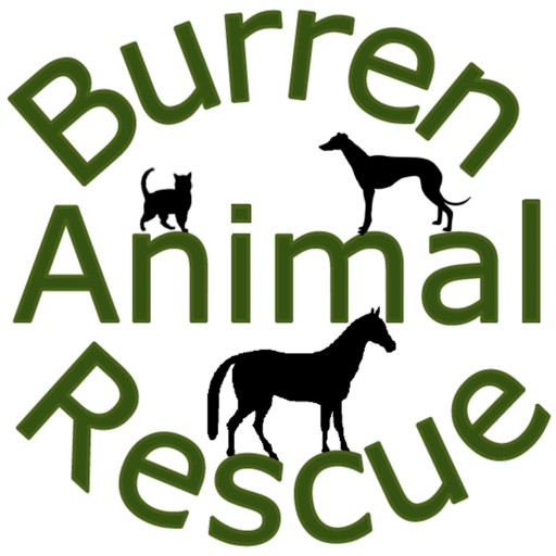 Burren Animal Rescue