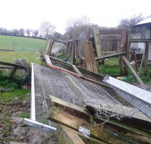 dog run panels all over the place 15-11-15