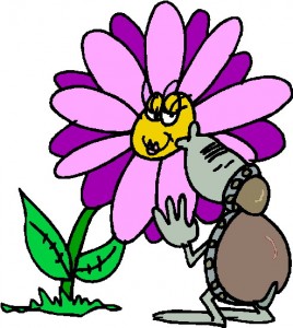 thank you flowers kiss