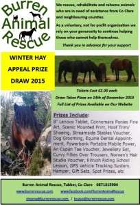 winter draw poster 2015