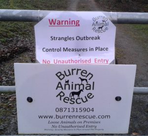 strangles warning sign