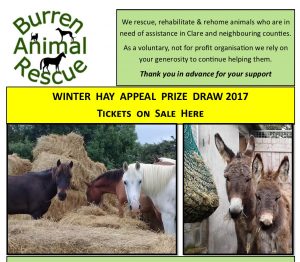 Winter Hay Draw Poster 2017