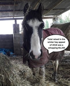 total raised in hay appeal