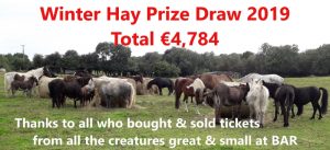 2019 draw total