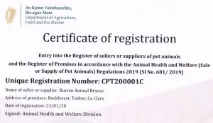 sale or supply pet animals