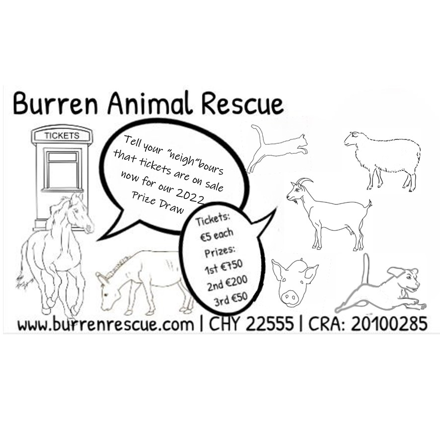 prize draw 2022 logo