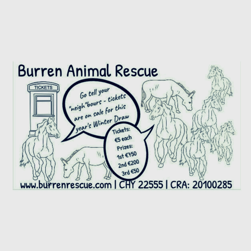 Winter Prize Draw Ticket logo