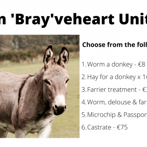Join "Bray"veheart United