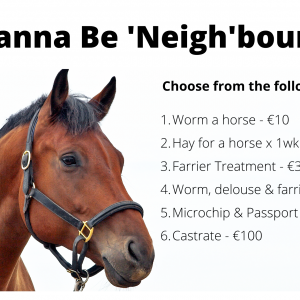 horse care donation categories