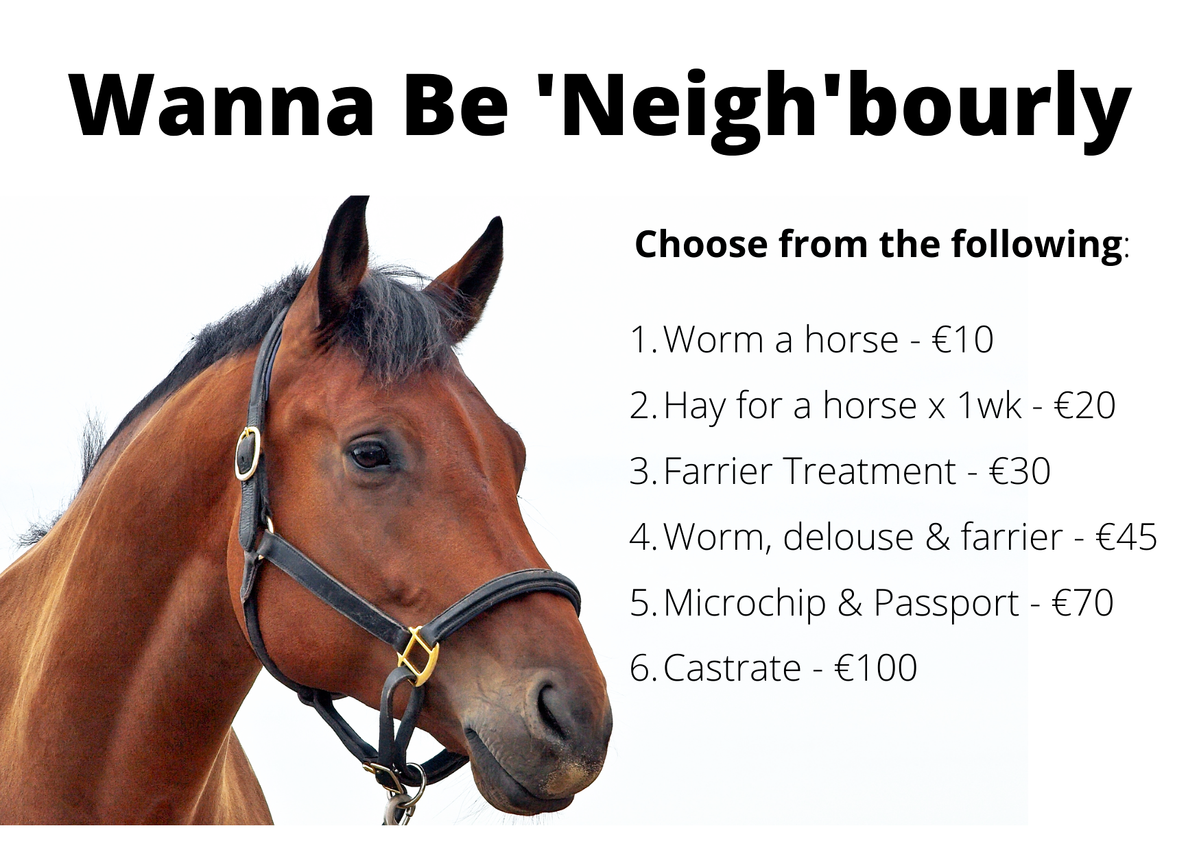 horse care donation categories