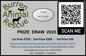 prize draw 2022 info