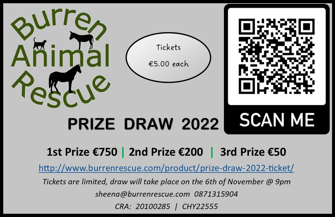 prize draw 2022 info