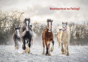 christmas card horses running in snow
