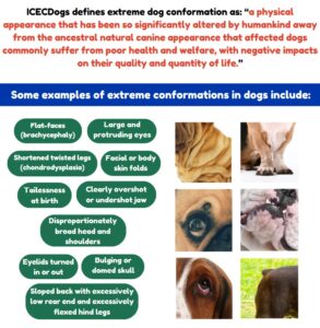Promoting Healthy Conformations in Dogs