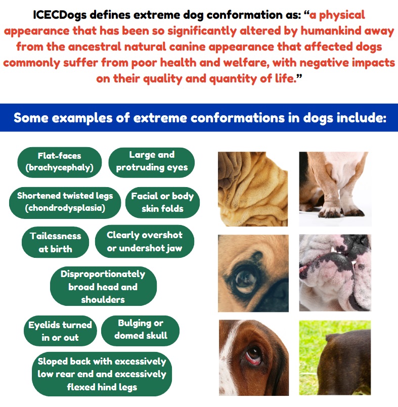 Promoting Healthy Conformations in Dogs