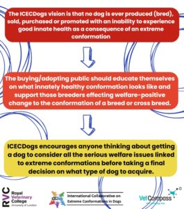 Promoting Healthy Conformations in Dogs