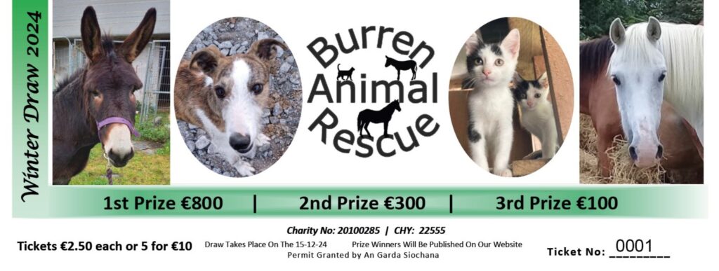 Ticket for Winter Draw 2024