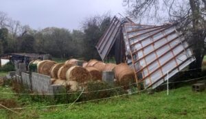destroyed haybarn at Burren Animal Rescue