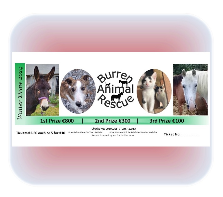 BAR winter draw 2024 logo